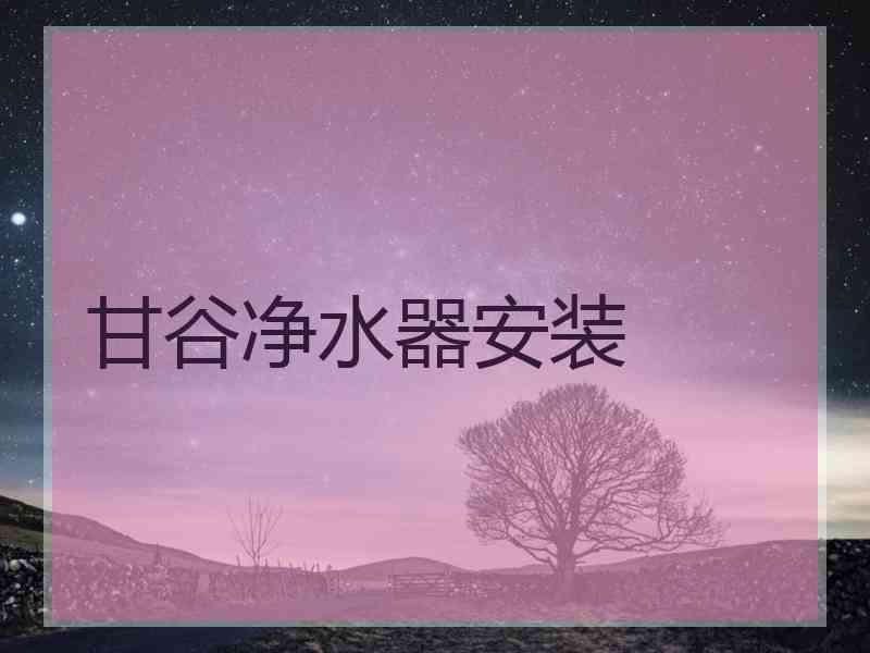 甘谷净水器安装