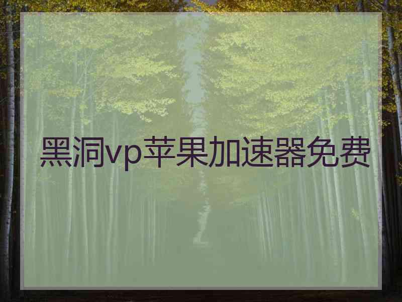 黑洞vp苹果加速器免费