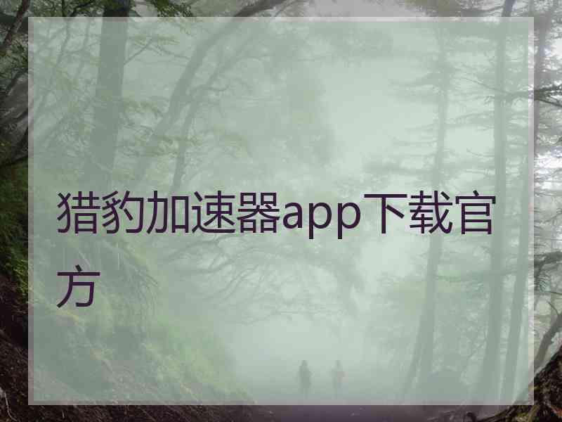 猎豹加速器app下载官方