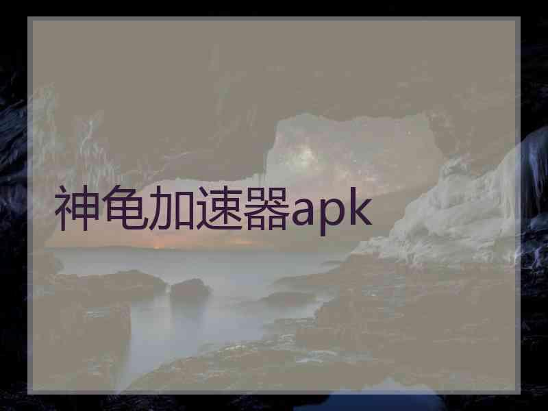 神龟加速器apk