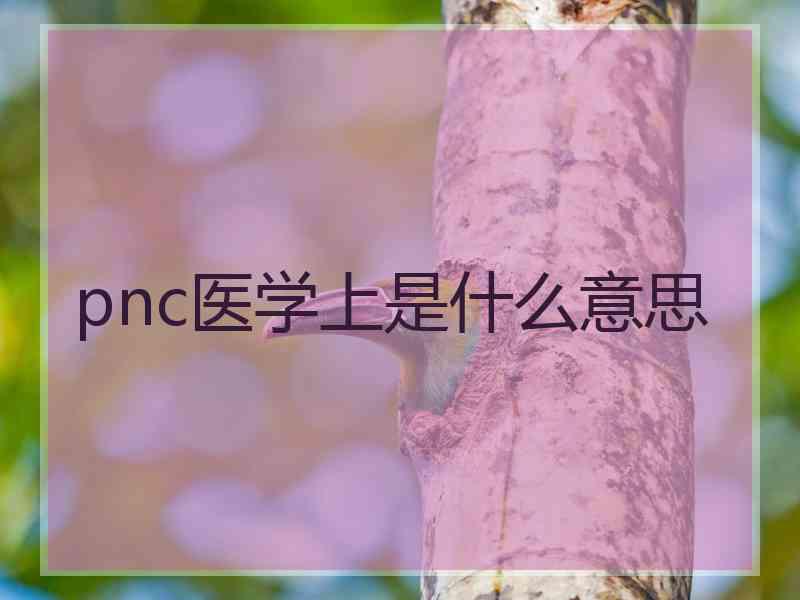 pnc医学上是什么意思
