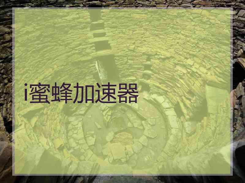 i蜜蜂加速器