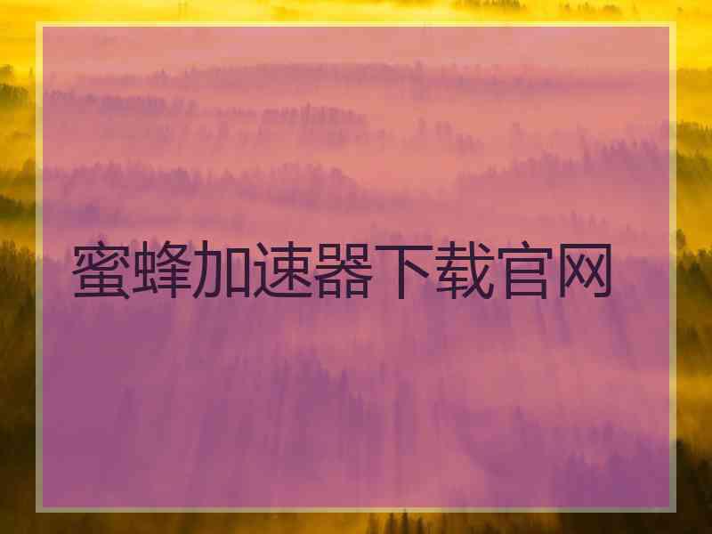 蜜蜂加速器下载官网