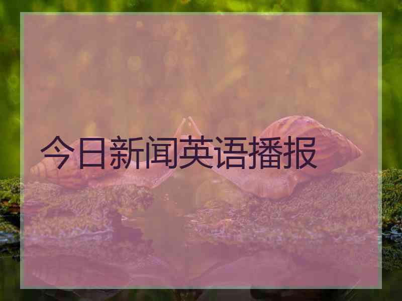 今日新闻英语播报