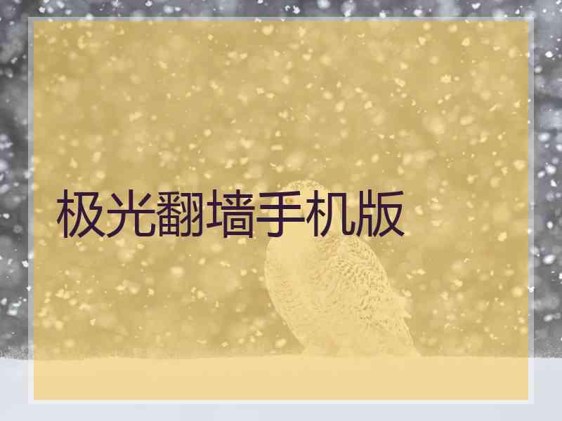 极光翻墙手机版