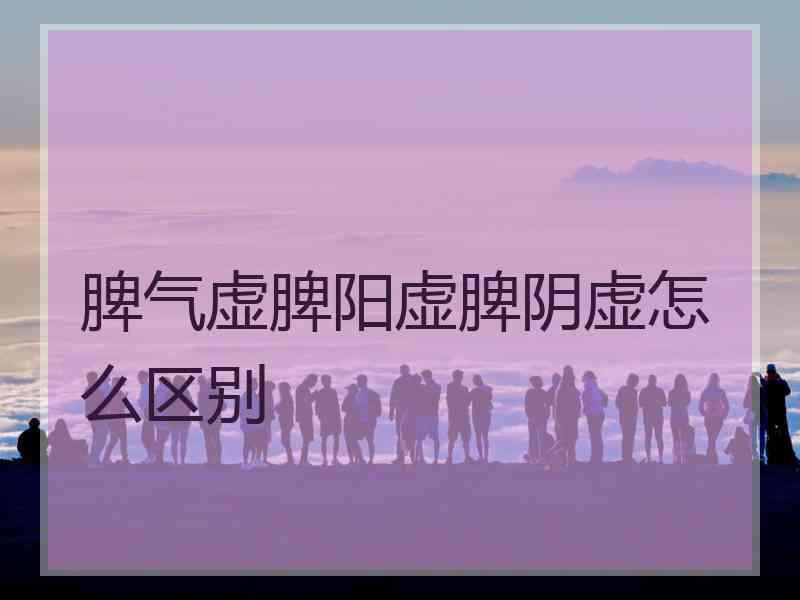 脾气虚脾阳虚脾阴虚怎么区别