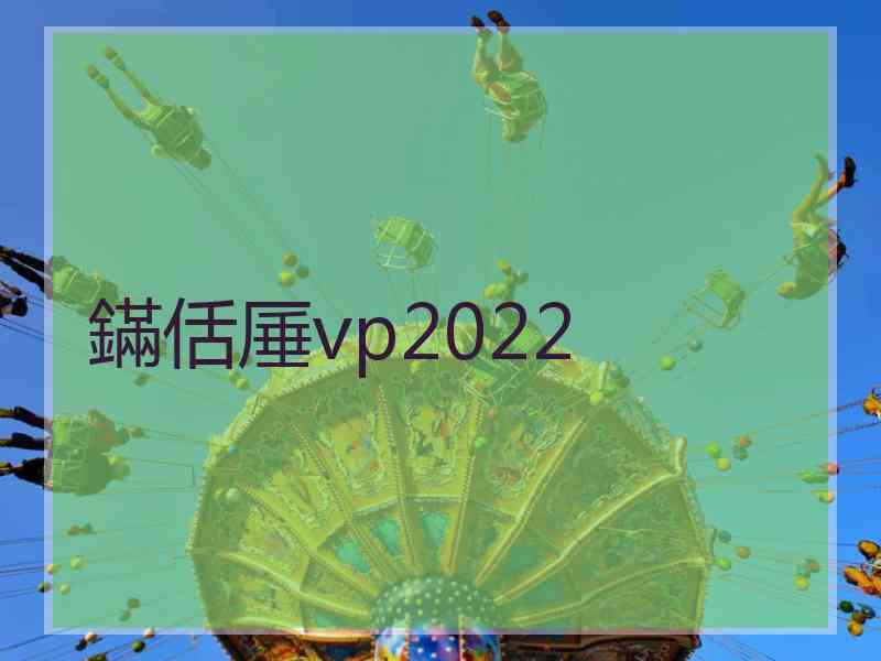鏋佸厜vp2022