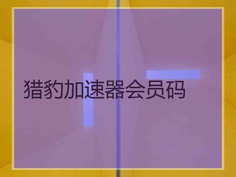 猎豹加速器会员码