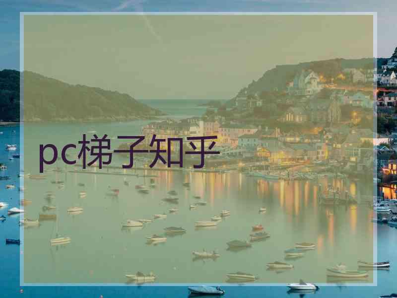 pc梯子知乎