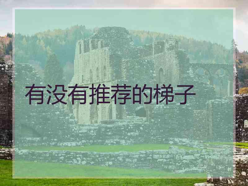 有没有推荐的梯子
