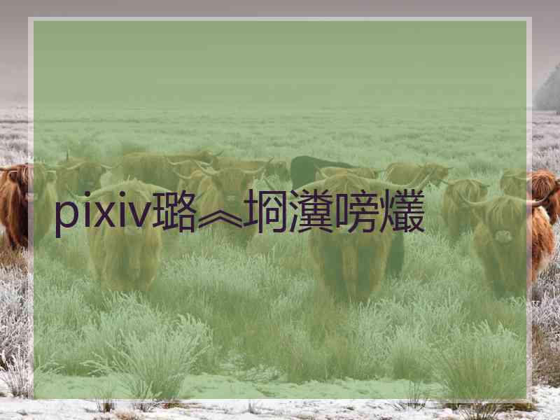 pixiv璐︽埛瀵嗙爜