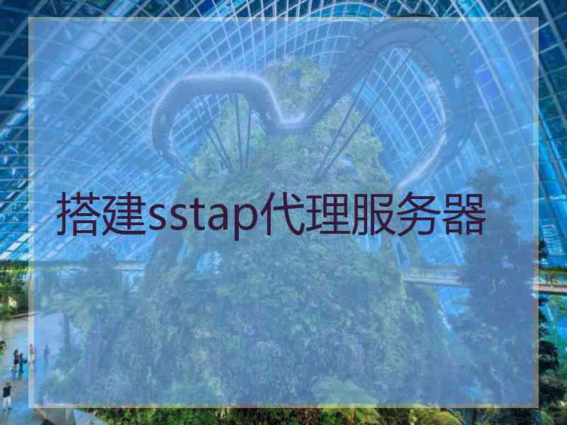搭建sstap代理服务器