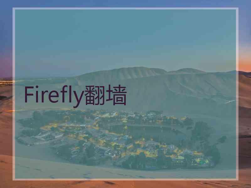 Firefly翻墙