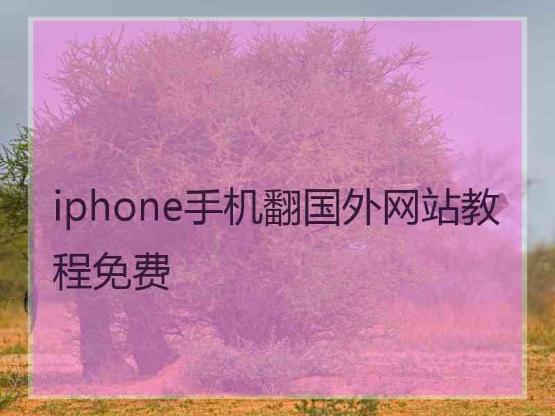 iphone手机翻国外网站教程免费
