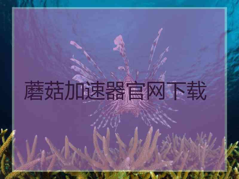 蘑菇加速器官网下载