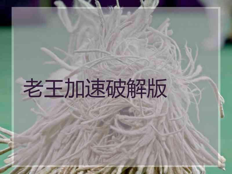 老王加速破解版