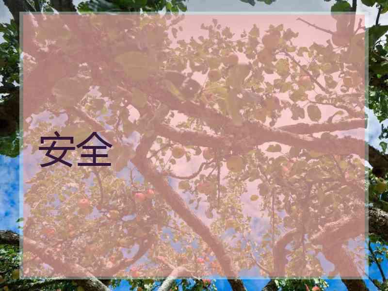 安全