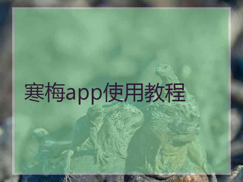 寒梅app使用教程