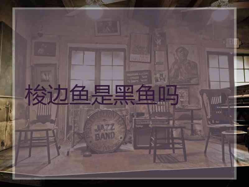 梭边鱼是黑鱼吗