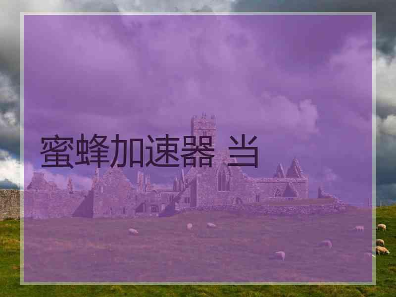 蜜蜂加速器 当