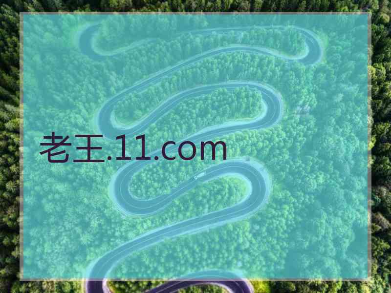 老王.11.com