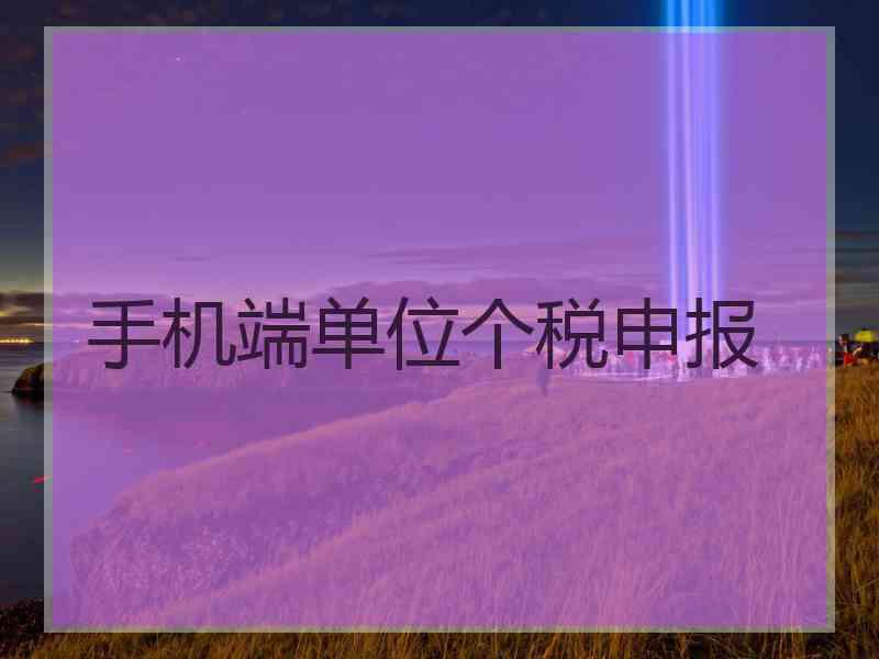 手机端单位个税申报