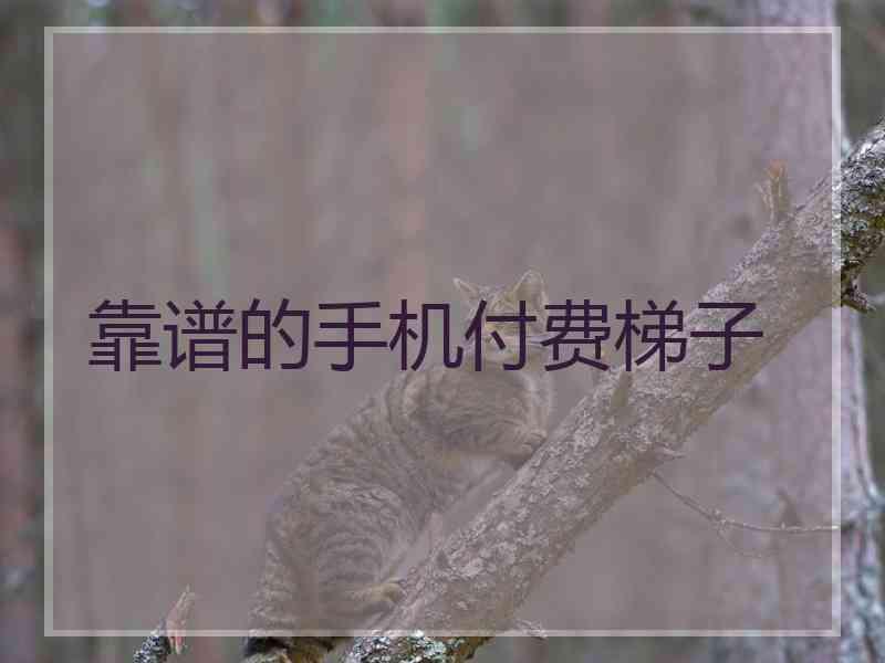 靠谱的手机付费梯子