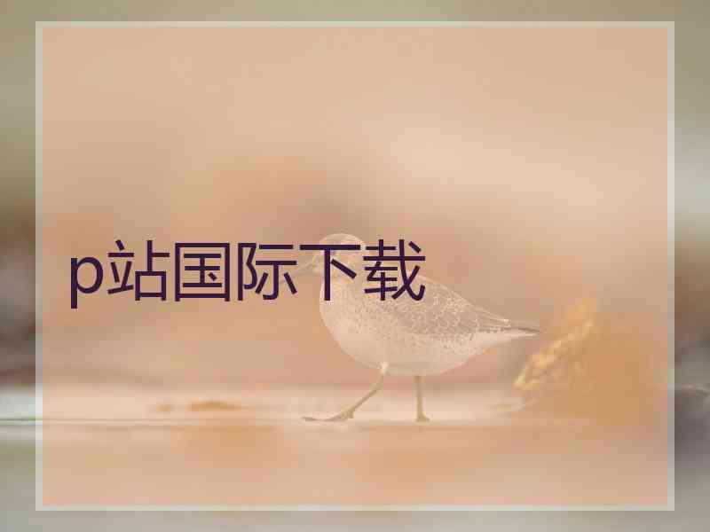 p站国际下载