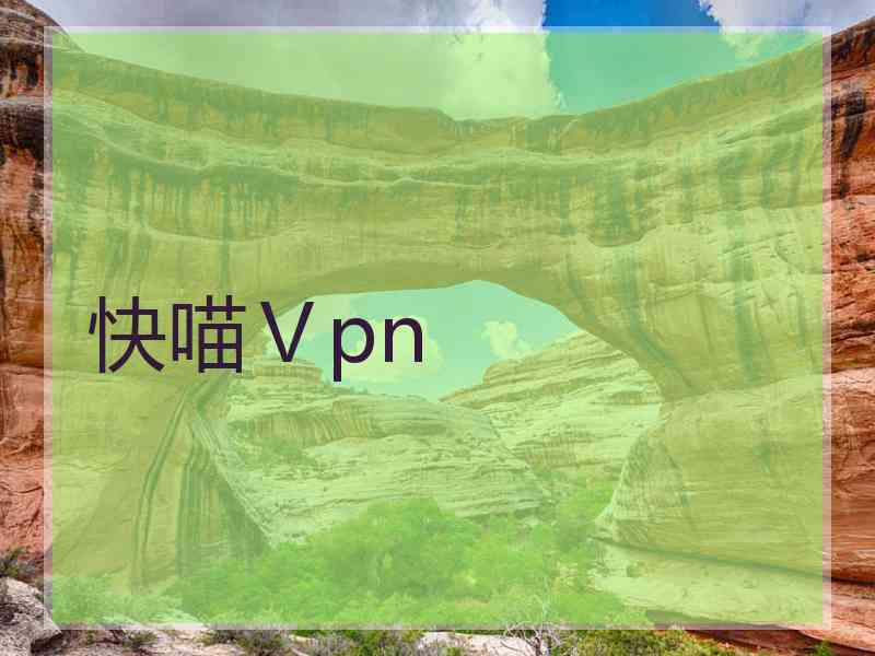 快喵Ⅴpn