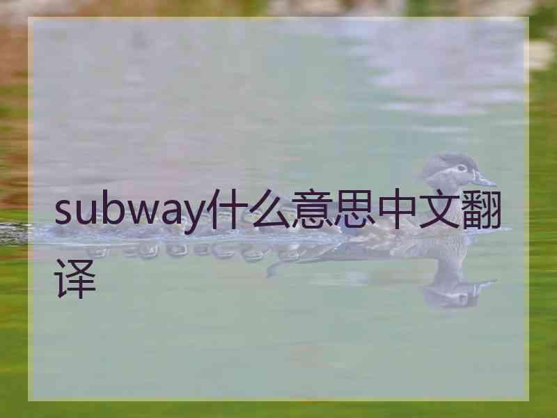 subway什么意思中文翻译