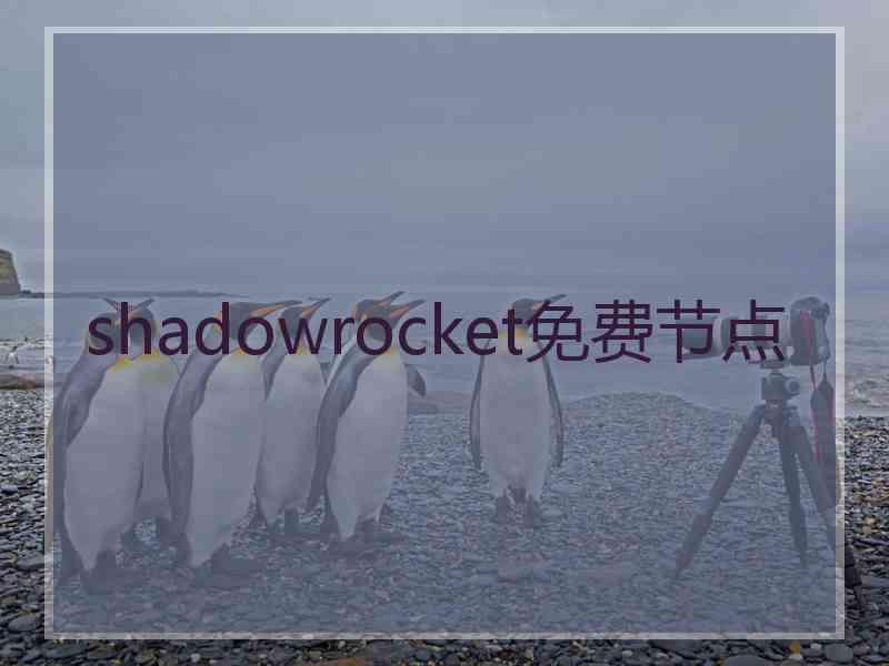 shadowrocket免费节点